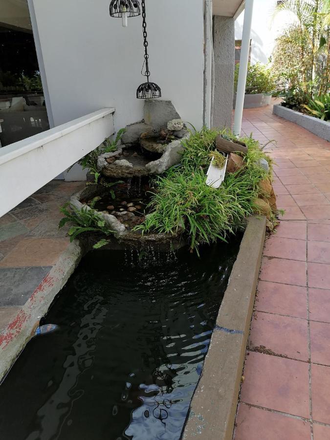 Mangolds Guest House Puerto Elizabeth Exterior foto